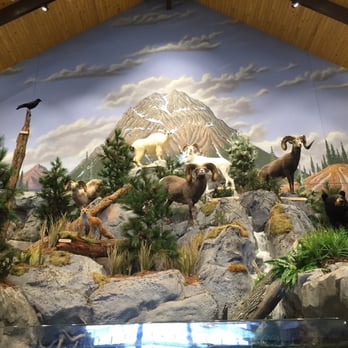 Cabela's - Outdoor Gear Near Me - Lexington, Kentucky