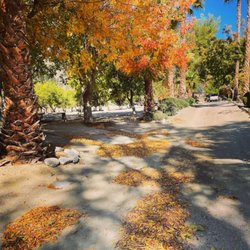 Lost Creek Canyon Ranch - Nothing better than fall on the ranch.