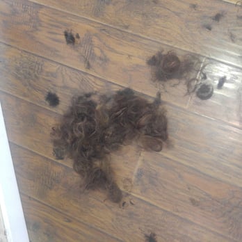 The Traditional Barber - A lot more leftovers - Barbers Near Me - El Segundo, California The Traditional Barber - A lot more leftovers - Barbers Near Me - El Segundo, California