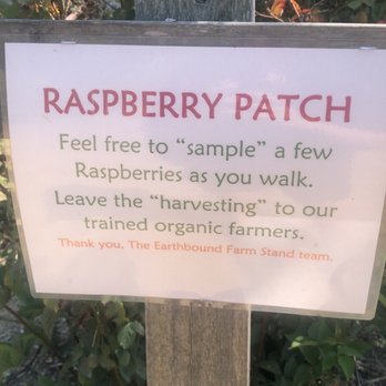Earthbound Farm Stand - Raspberry Patch Sample - Organic Stores Near Me - Carmel, California Earthbound Farm Stand - Raspberry Patch Sample - Organic Stores Near Me - Carmel, California