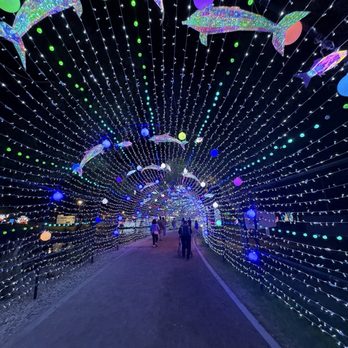 Tianyu Lights Festival - Festivals Near Me - Phoenix, Arizona Tianyu Lights Festival - Festivals Near Me - Phoenix, Arizona