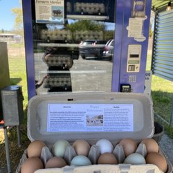 Wise Acre Farm - Yummy eggs