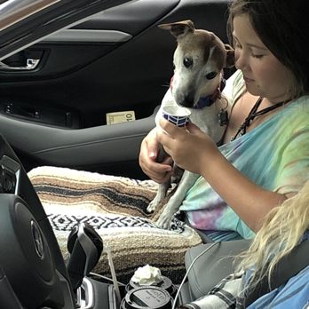 The Roasted Bean Espresso - Diesel celebrating his 14th birthday with a Puppuccino! - Coffee & Tea Near Me - Vancouver, Washington The Roasted Bean Espresso - Diesel celebrating his 14th birthday with a Puppuccino! - Coffee & Tea Near Me - Vancouver, Washington