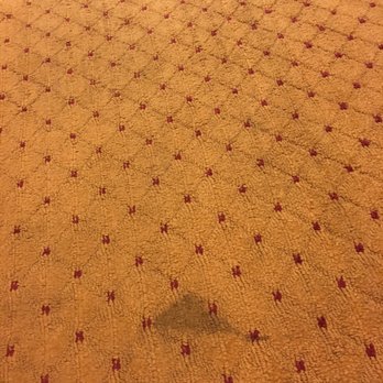 Hampton Inn Pennsville - Filthy carpets. Ew! - Hotels Near Me - Pennsville, New Jersey Hampton Inn Pennsville - Filthy carpets. Ew! - Hotels Near Me - Pennsville, New Jersey