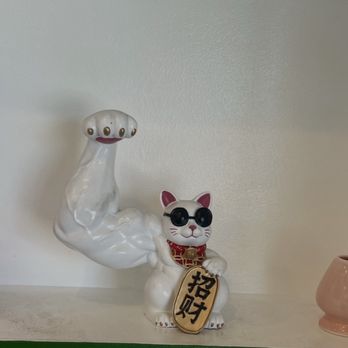 Binge Coffee House - I keep seeing this feline cat flexing on my social media feed - Vietnamese Near Me - Berkeley, California Binge Coffee House - I keep seeing this feline cat flexing on my social media feed - Vietnamese Near Me - Berkeley, California