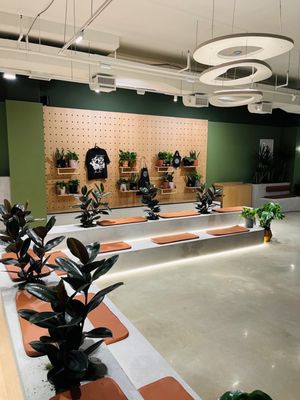 Grounded: Plant Shop, Cafe, & Wellness Studio by null