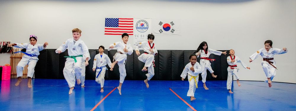 Hansoo Taekwondo Logo