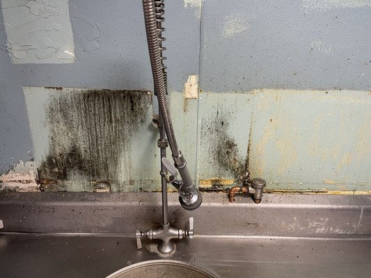 Lastufka Remodeling Contracting Logo