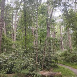 Caledonia State Park
