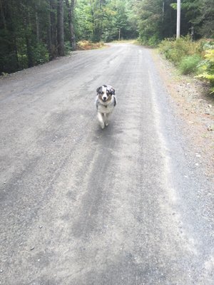 100 Mile Wilderness Adventures by null