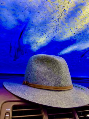 CAMEL EXPRESS CAR WASH - 179 Photos & 17 Reviews - 3430 Doverside Dr