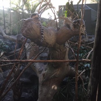 Minnesota Zoo - Zoos Near Me - Apple Valley, Minnesota Minnesota Zoo - Zoos Near Me - Apple Valley, Minnesota