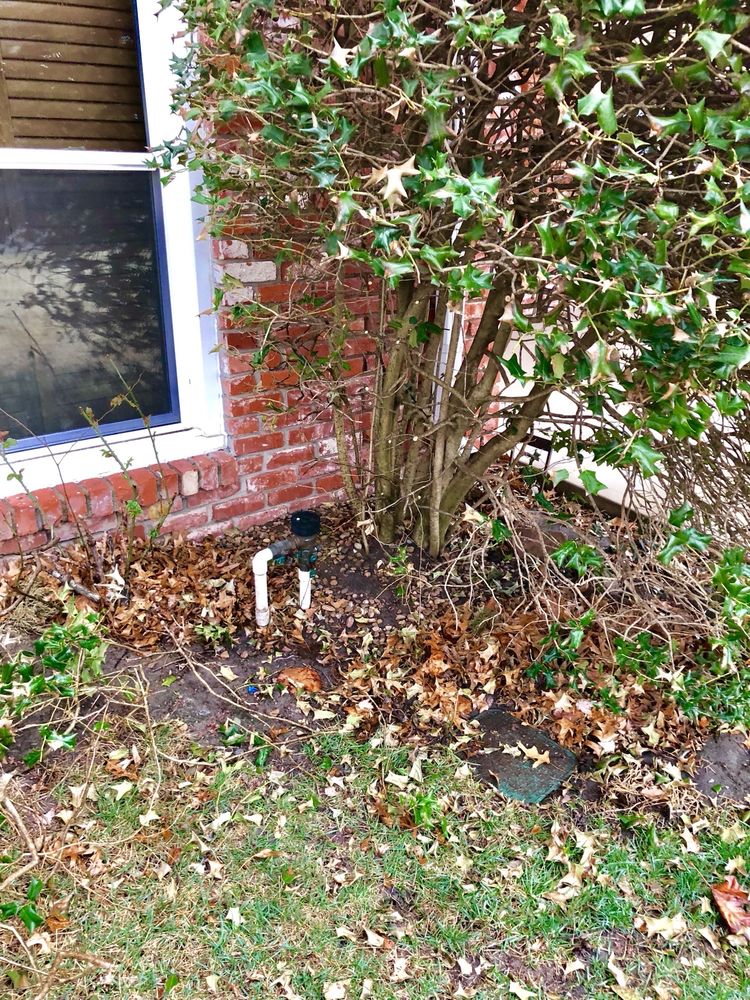 Slide of Aquarius Greenbelt