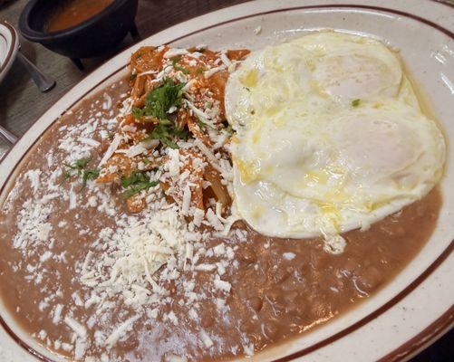 Tacos & Cerveza Pura Vida by null