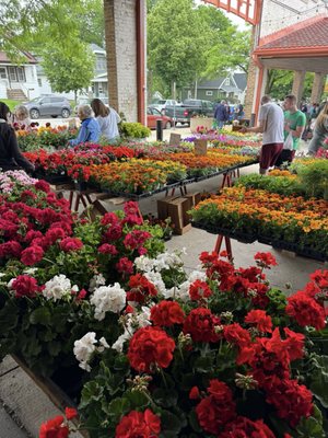 West Allis Farmers Market by null