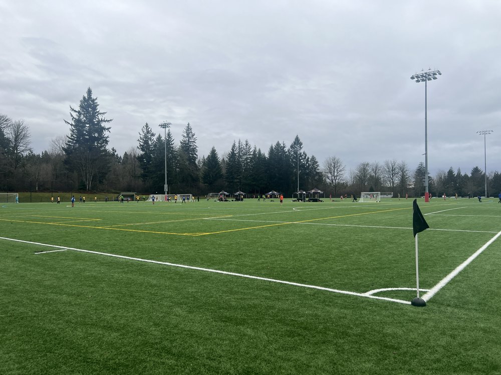 Petrovitsky Park Logo