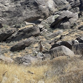 Tahquitz Canyon - Another one! - Hiking Near Me - Palm Springs, California Tahquitz Canyon - Another one! - Hiking Near Me - Palm Springs, California