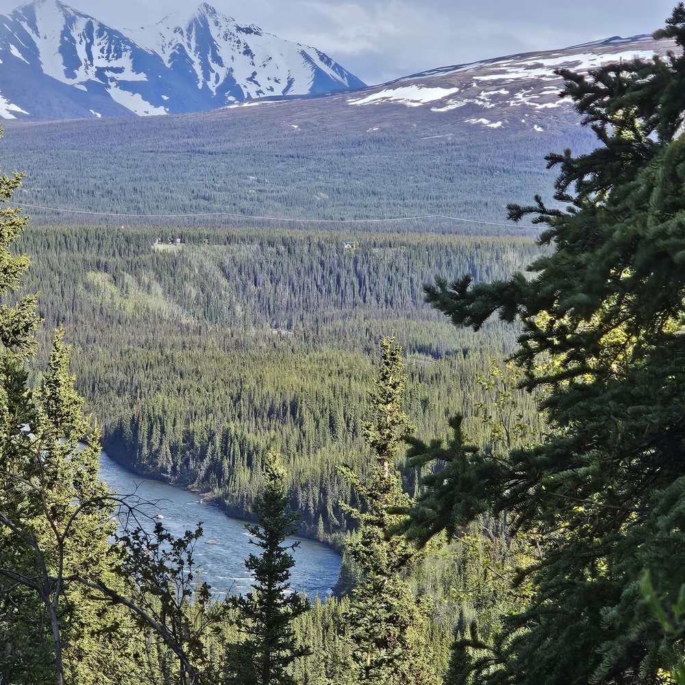 Denali Park Village - Resorts Near Me - Denali, Alaska Denali Park Village - Resorts Near Me - Denali, Alaska