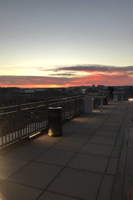 The Washington Post by null