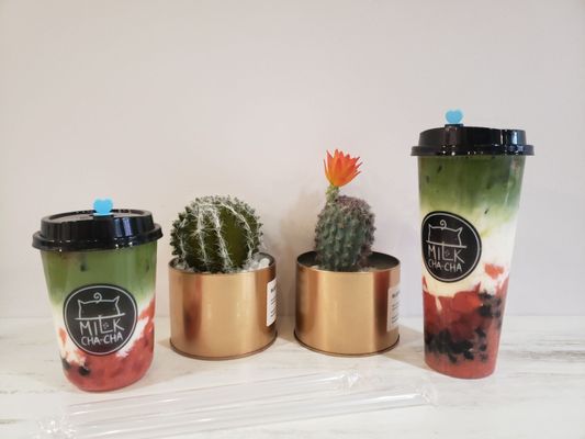 Milk Cha-Cha by null