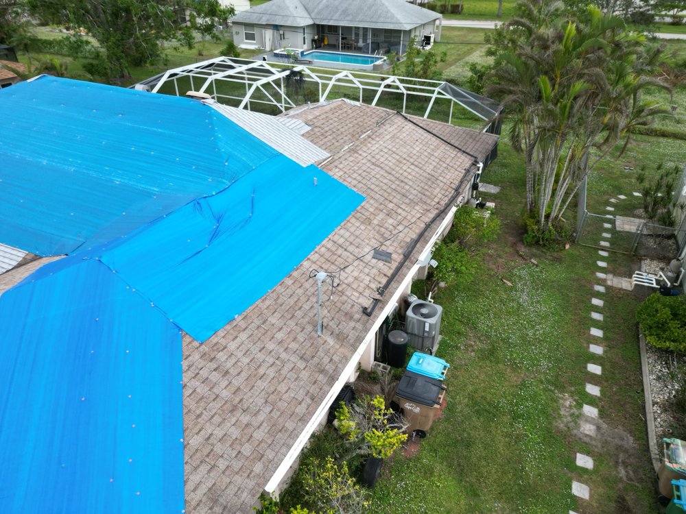 Slide of Roof Bullies