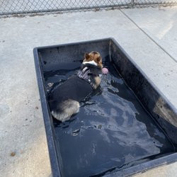 Morse Dog Park