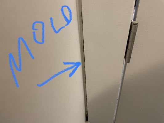 Hanover Buckhead Village by null