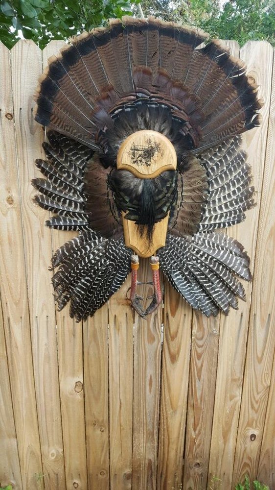 Chad's Taxidermy - taxidermy in Bradenton, FL