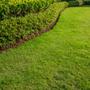 Photo of Maison Exterior Cleaning & Landscaping 