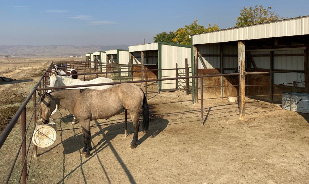 LAST STAND STABLE Updated June 2024 14 Photos 7875 N County Road