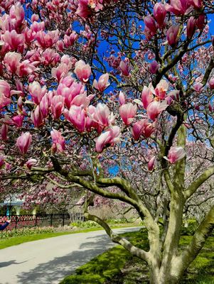 Floral Showhouse by null