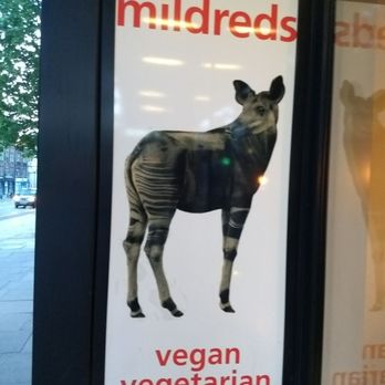 Mildreds - Signage at front - Salad Near Me - London, XGL Mildreds - Signage at front - Salad Near Me - London, XGL