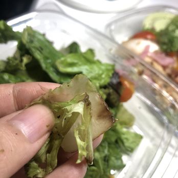 Panera Bread - Greek Goddess Salad - Sandwiches Near Me - Clovis, California Panera Bread - Greek Goddess Salad - Sandwiches Near Me - Clovis, California