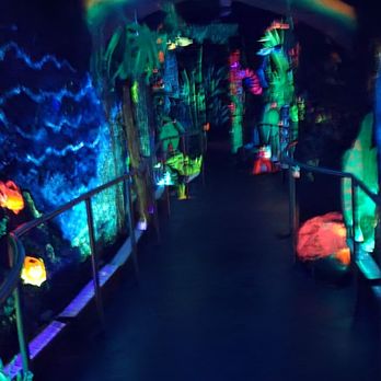 Bishop Museum - Museums Near Me - Honolulu, Hawaii