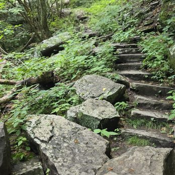 Cascade Falls - Parks Near Me - Pembroke, Virginia Cascade Falls - Parks Near Me - Pembroke, Virginia