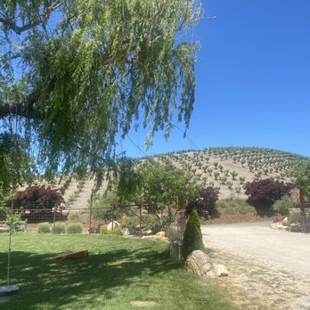 Mid.Point Winery - Lasting view - Wineries Near Me - Paso Robles,, California