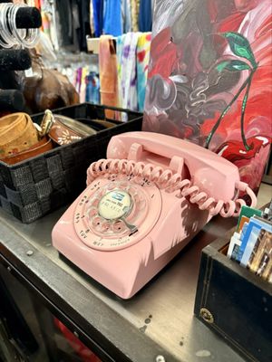 The Red Kat Vintage by null