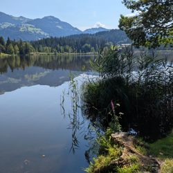 Schwarzsee