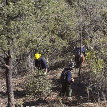 Arrow Fire & Land Management - Working VERY hard in 99 degrees. - Landscaping Near Me - Prescott, Arizona
