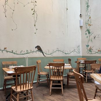 Rosetta - Vibe - Italian Near Me - Ciudad de México, DIF