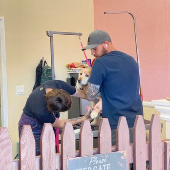 Cuts N Cuddles - Nail Clip/ Grind on Senior Boy - Pet Groomers Near Me - Simi Valley, California