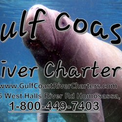 Gulf Coast River Charters - Come swim with the manatees in beautiful Homosassa.
