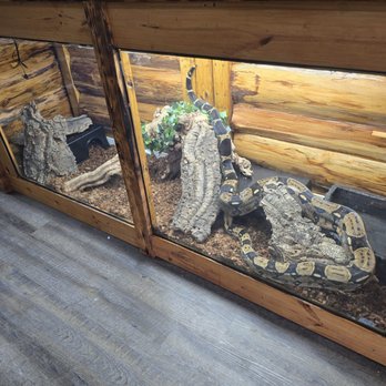 Bama Reptiles & Ranch - Horse Equipment Shops Near Me - Northport, Alabama Bama Reptiles & Ranch - Horse Equipment Shops Near Me - Northport, Alabama
