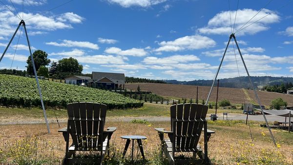 Adelsheim Vineyard by null