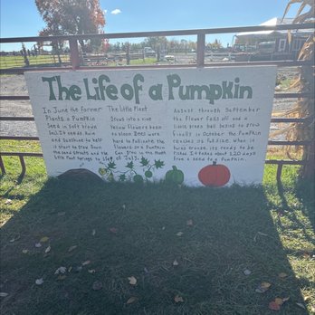 Butler's Orchard - The life of a pumpkin - Farmers Market Near Me - Germantown, Maryland