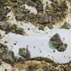 Goose Bros Ice Cream - Mallow Chocolate Crisp