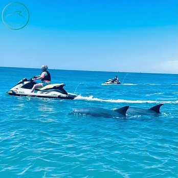 AAA Jet Ski - Tours Near Me - Panama City, Florida AAA Jet Ski - Tours Near Me - Panama City, Florida