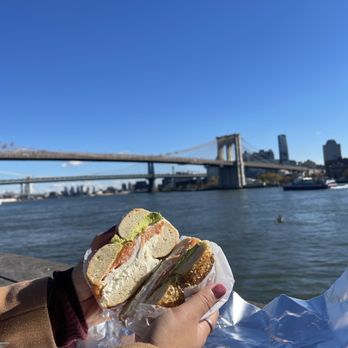 Bagel Market - #3 Salmon, Avocado & Egg ($12.95) - Bagels Near Me - New York, New York Bagel Market - #3 Salmon, Avocado & Egg ($12.95) - Bagels Near Me - New York, New York