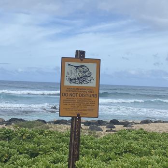 Ka'ena Point Trail Hike - Be respectful - Hiking Near Me - Waialua, Hawaii Ka'ena Point Trail Hike - Be respectful - Hiking Near Me - Waialua, Hawaii