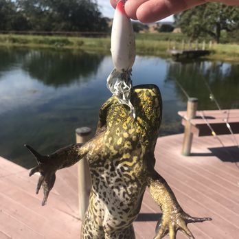Break Water Tours - At the Thompson vineyard bass pond - Fishing Near Me